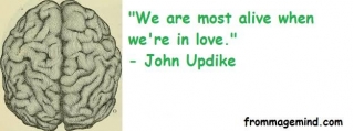 Great Quote By John Updike