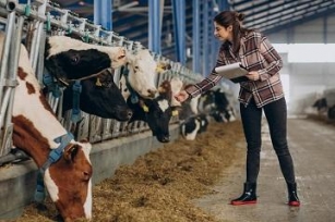 Projections For 2028 – Exploring Innovations In The Animal Feed Market