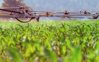Crop Protection Market Trends And Emerging Opportunities
