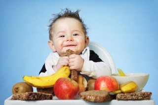 The Global Organic Baby Food Market Growth And Key Players