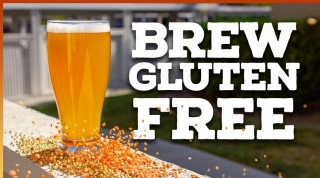 Global Gluten-Free Beer Market Analysis, Size, Share And Trends