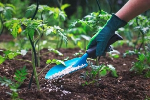 Exploring The Fertilizer Market Major Players, Trends, And Growth Drivers