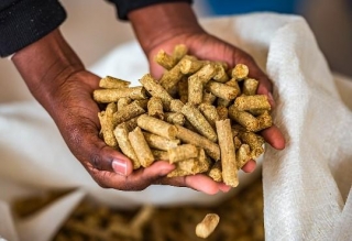 The Dynamics Of The Animal Feed Market: An In-Depth Analysis