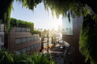 Green Building Market Boom Size, Trends & How To Capitalise On The Sustainable Future Of Real Estate