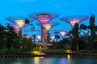 Discover The Wonders Of Gardens By The Bay