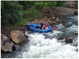 Unleash Your Inner Adventurer: Thrilling Activities In Sri Lanka