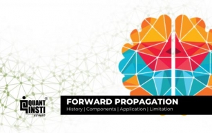 Forward Propagation In Neural Networks: Components and Applications
