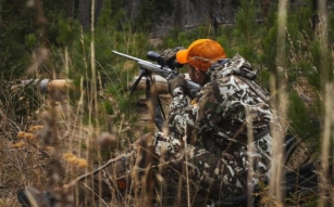 A Comprehensive Guide To Wisconsin Hunting Seasons 2024-2025
