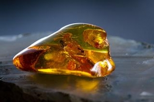 The Mystical Properties Of Ancient Amber