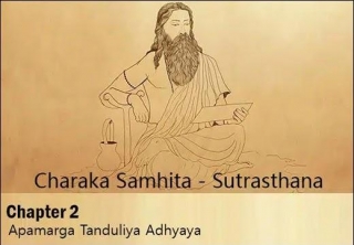 Charak Samhita - Sutrasthana - Chapter 2 (Apamarga Tanduliya Adhyaya)