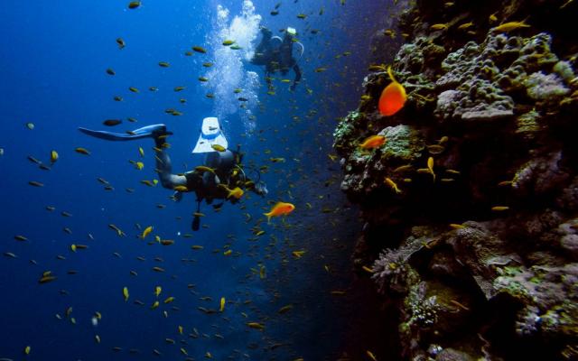 See the underwater world with scuba Curacao