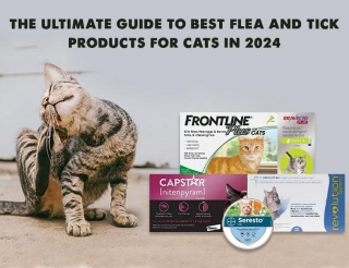 The Ultimate Guide To Best Flea And Tick Products For Cats In 2024