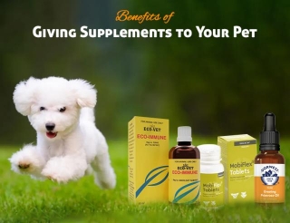 The Benefits Of Giving Supplements To Your Pet For Optimal Health
