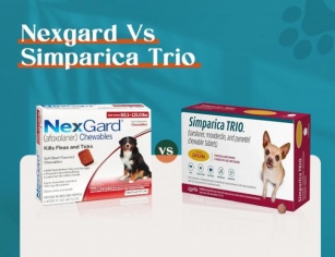Nexgard Vs Simparica Trio: A Comparative Guide