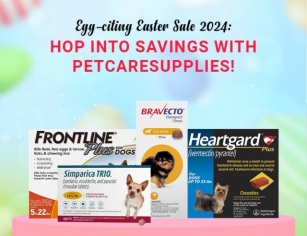 Egg-citing Easter Sale 2024: Hop Into Savings With PetCareSupplies!