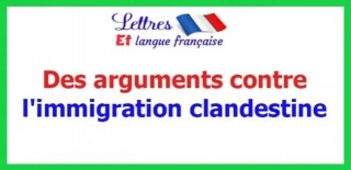 Des Arguments Contre L'immigration Clandestine