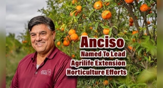 Anciso Named To Lead Agrilife Extension Horticulture Efforts