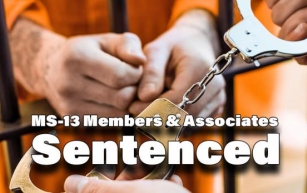 MS-13 Members and Associates Sentenced for Racketeering & Narcotics Conspiracies & 4 Murders