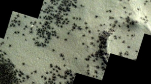 European Space Agency Image Showing “traces Of Spiders On Mars”