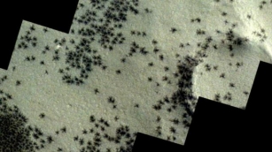 “Traces Of Spiders On Mars”