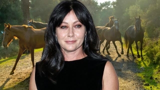 Shannen Doherty's Legacy: Love, Life, And Letting Go
