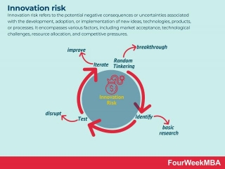 Innovation Risk