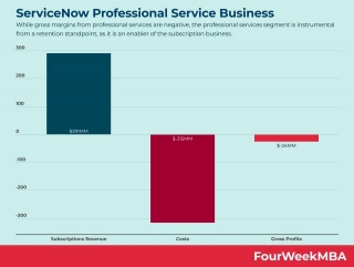 ServiceNow Professional Service Business