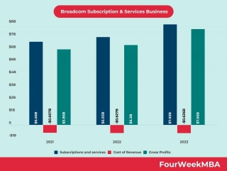 Broadcom Subscription Business
