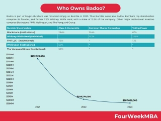 Who Owns Badoo?