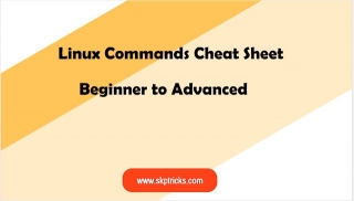 Linux Commands Cheat Sheet: Beginner To Advanced