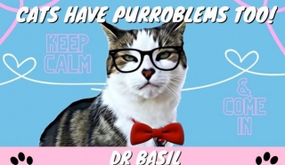 CATS HAVE PROBLEMS TOO! With Dr Basil ~ Featuring Today's Despurrate Dilemma **HELP! I HATE BATHS!**