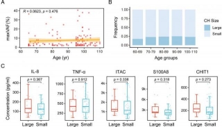 The Influence Of Age And Number Of Mutations On The Size Of Clonal Hematopoiesis