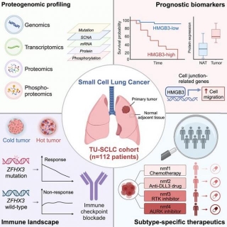Revealing Prognostic Markers For Small Cell Lung Cancer