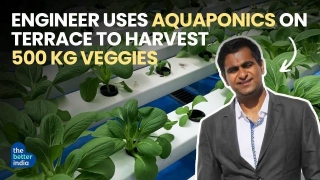 How I Use Upcycled Containers & Aquaponics To Grow 500 Kg Veggies On My Terrace