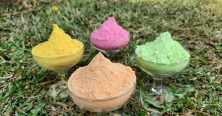 This Holi, Play With 100% Edible & Organic Colours Handcrafted By Bhil Tribals