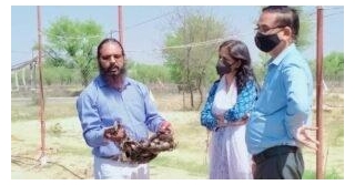In Dry Rajasthan, A Computer Teacher Is Earning Rs 20 Lakh Per Harvest From Pearl Farming