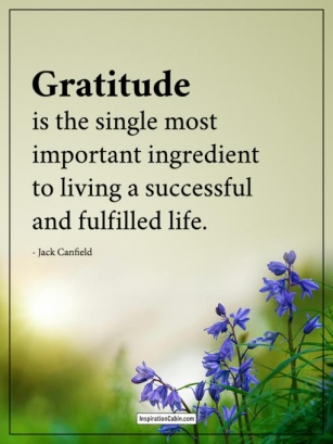 Gratitude Leads To Success