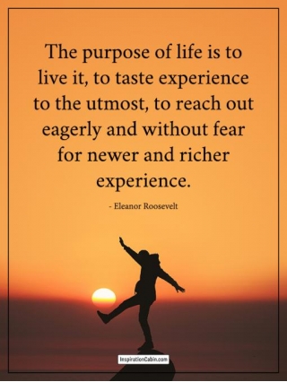 The Purpose Of Life Is To Live It