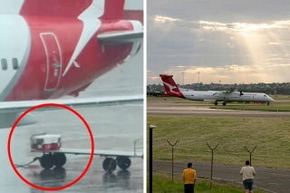 Airline Under Fire After Photo Shows Pet Crates Were Left In Pouring Rain With Animals Inside