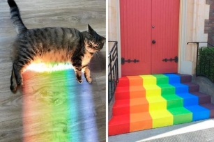 123 Of The Best Pics From The “Rainbow Everything” Online Group To Bring Color To Your Day