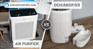 Air Purifier Vs Dehumidifier – What’s The Main Difference?