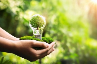 Eco-Conscious Living: Sustainable Practices For A Greener Future