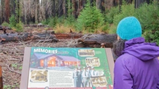 Hilltromper Santa Cruz ~ New Big Basin Redwoods State Park Plan Incorporates Public Input