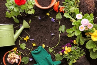 Upgrade Your Garden With New And Trendy Garden Supplies