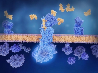 How To Utilize Grating Coupled Interferometry (GCI) For Complex Membrane Proteins