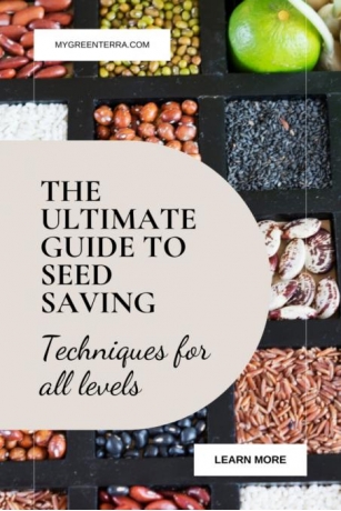 The Ultimate Guide To Saving Seeds: Techniques For Beginners And Experts