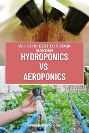 Hydroponics Vs Aeroponics