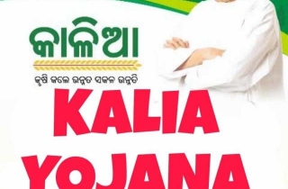 KALIA Yojana: Odisha Govt Extends Farmer Support With Rs.6029.70 Cr Budget