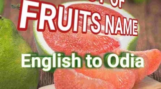 Fruits Name Odia To English Meaning In Odia Dictionary