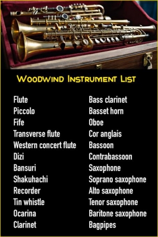 Woodwind Instruments List : Inside The Wind Instrument Woodwind Family